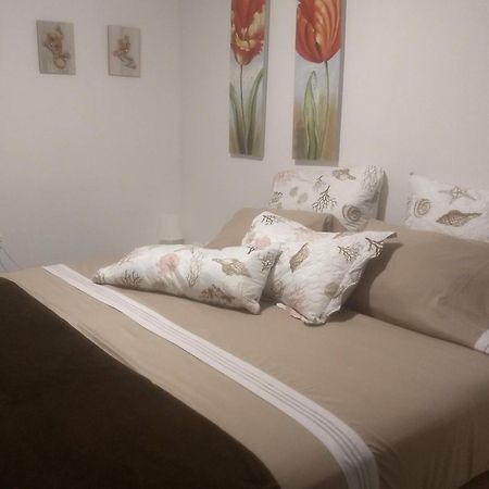 Hibiscus House Hotel San Andres  Ngoại thất bức ảnh